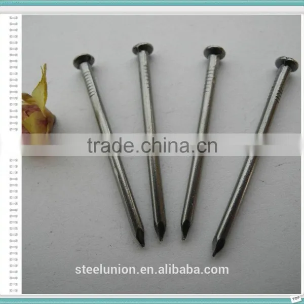 Factory Common Wire Nail/Common Nail for Construction/Common Nail photo-5