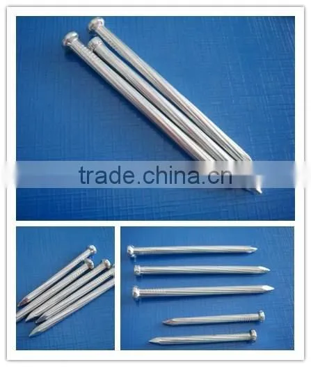 Polish Common Wire Nails photo-6