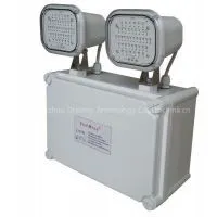 Emergency Lighting Fire Safety CE