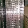 Galvanized Welded Wire Mesh