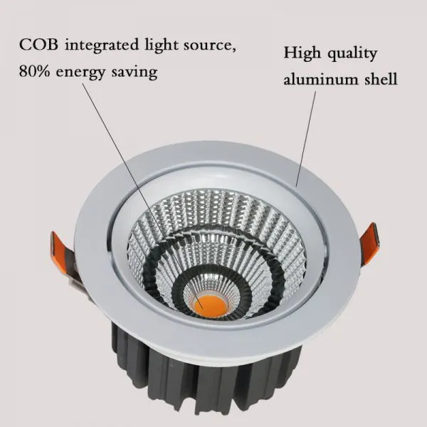 LED Fresh Downlight for Meat Vegetable Food Display Lighting photo-2