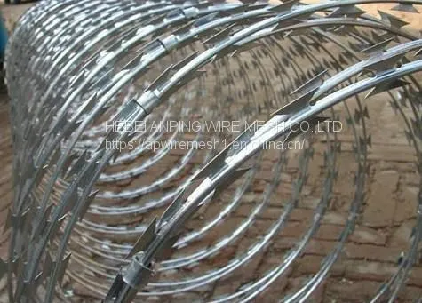 China ANPING Manufacturer Razor Wire Protective Net photo-2