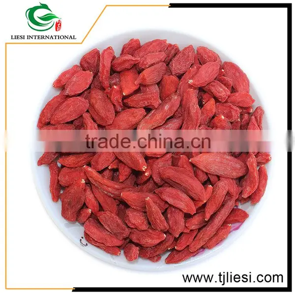 Low Cost High Quality China Goji Berry Extract photo-4