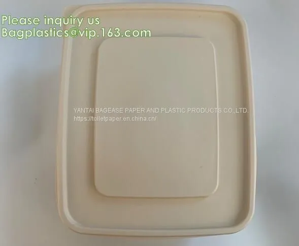 Disposable Corn Starch Plates, Biodegradable Corn Starch Food Container, Biobased Food Tray, Disposable Plastic Takeaway Meal Tray, Corn Starch Blister Packaging Tray, Blister Packaging photo-3