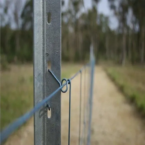 Hot Selling Star Picket Metal Y Fence Post photo-4