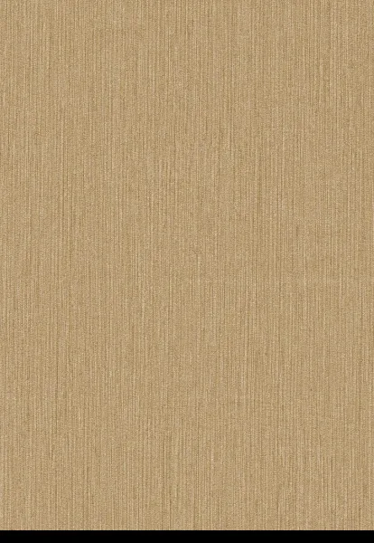 Vinyl Wallpaper photo-4