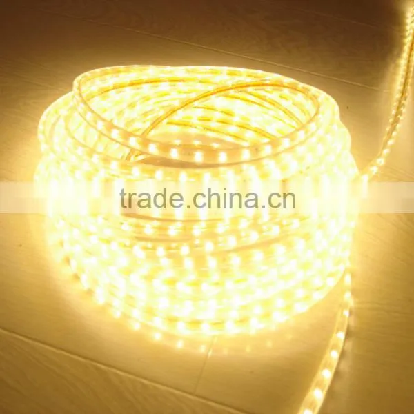 DC 12V Led Strips Resin Coat Waterproof,5m a Roll photo-3