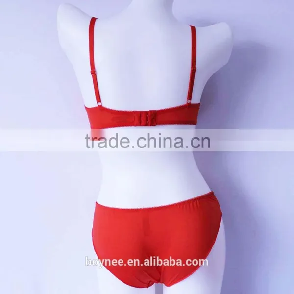 2017Christmas Design Most Popular and Hot Sale Young Girl Bra Set photo-3