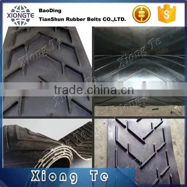 Price of Rubber Waterstop Chevron Bone Pattern Conveyor Belt photo-4