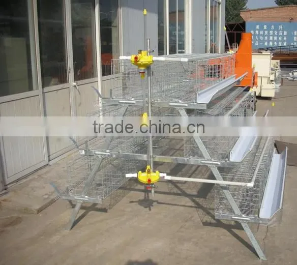 Chicken Layer Cages