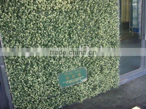 ARTIFICIAL HEDGE for Shanghai EXPO