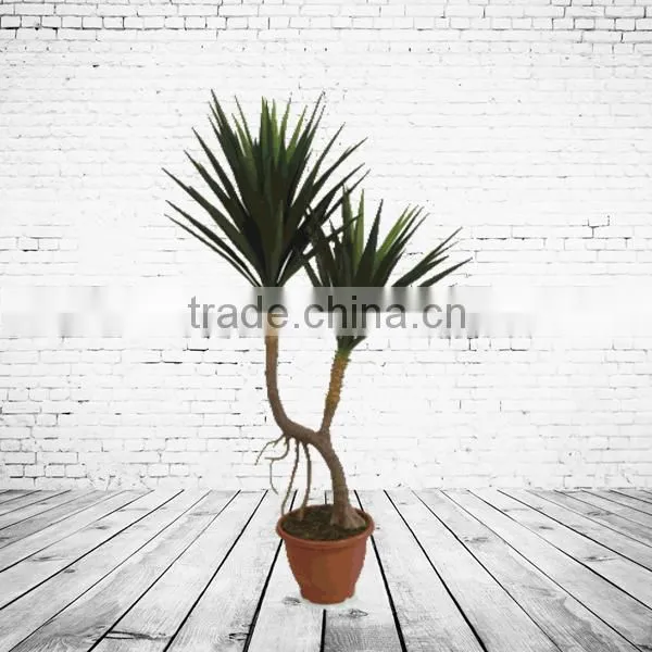 Home Decorative Artificial Bonsai Tree For Sale photo-3