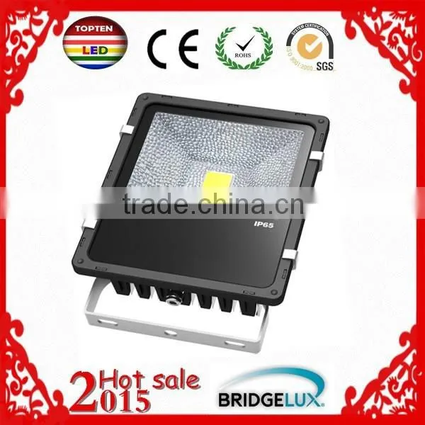 2015 Hot Sale High Quality 50W Led Food Light