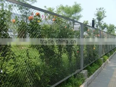 Micro Expanded Metal Sheet, Filter Mesh photo-5