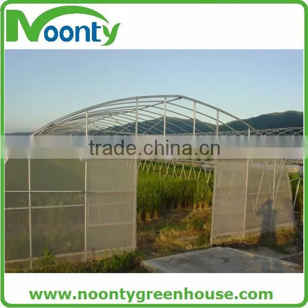 Economical Tunnel Greenhouse photo-5
