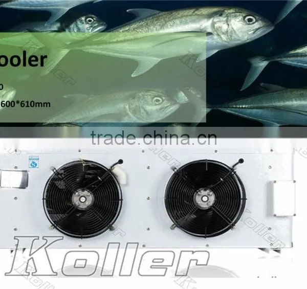 Walk in Koller Freezer Cold Room for Fishery photo-4
