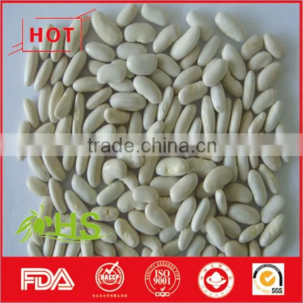 Chinese White Kidney Beans of Wholesale Price photo-5