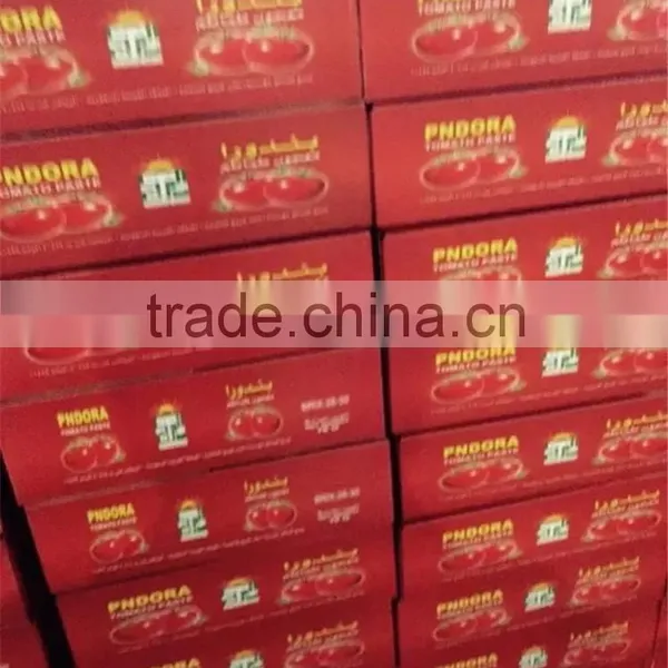 2016 28-30% Double Concentrate Canned Tomato Paste photo-4
