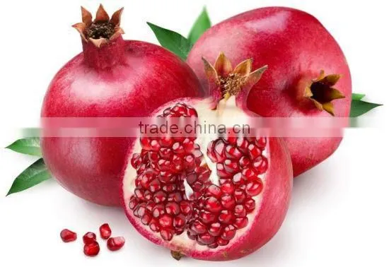 Sour Sauce Pomegranate Juice Concentrate Sour Sauce BULK Wholesale OEM photo-2