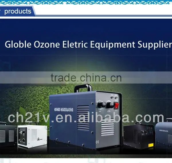 High Quality Portable Easy Operate Ozone Generator for Food Disinfection