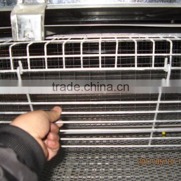 H Type 56 Chickens Broiler Chicken Cage Sale for Tanzania photo-3