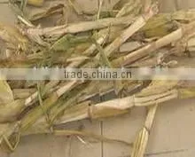 Rice Straw Cutting Machine, Rice Straw Cutter Machine, Rice Straw Cutter photo-6