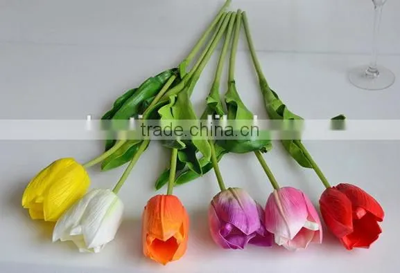 Plastic Pot With Design Tulip Flower