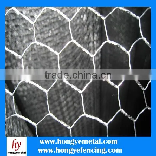 High Quality PVC/ Galvanized Hexagonal Wire Mesh For Chicken/Animal/Safety Fence photo-2
