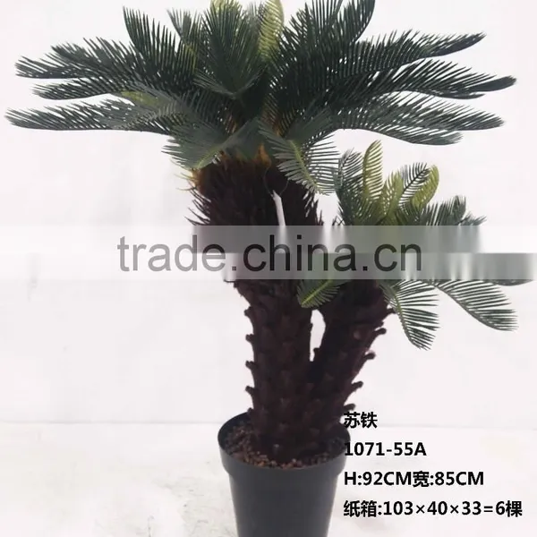 1071-32 Plastic Pot Cycads Tree photo-5