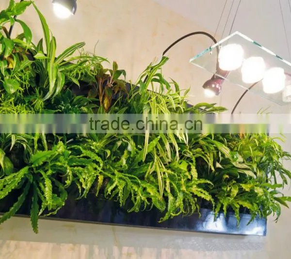 2016 Compound Wall Design,outdoor Green Plants,future Design Fake Plants Wall photo-2