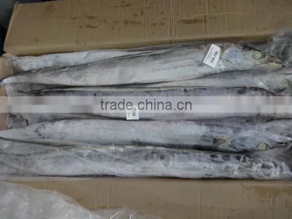 IQF Ribbon Fish photo-3