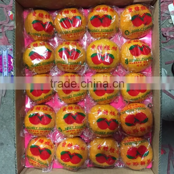 In 2016 Yongchun Fresh Orange Fragrant and Sweet Bright Red High Sugar photo-3