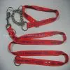 Dog Leash
