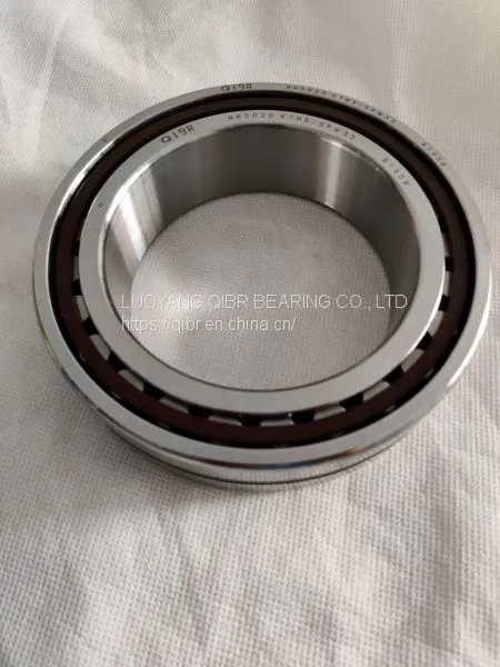 NN3020 Precision Cylindrical Roller Bearings