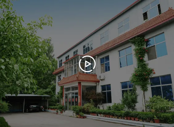 Qingdao Huamao Evergreen Industrial Co.,Ltd company overview - view 1