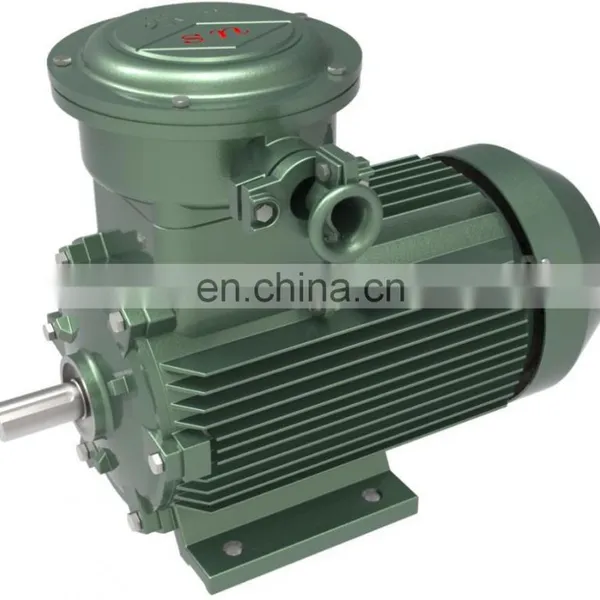 Motor Machine Three Phase Induction Motor20 hp Electric Motor Explosion Proof Motors photo-2