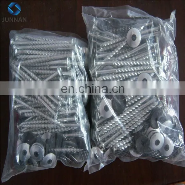 Common Wire Nail Quality Specification photo-2