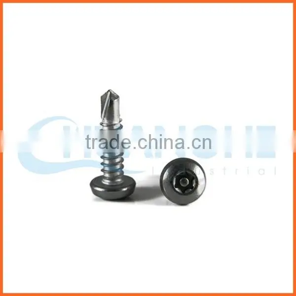 China Supplier Din7985 Anti-theft Screw photo-5