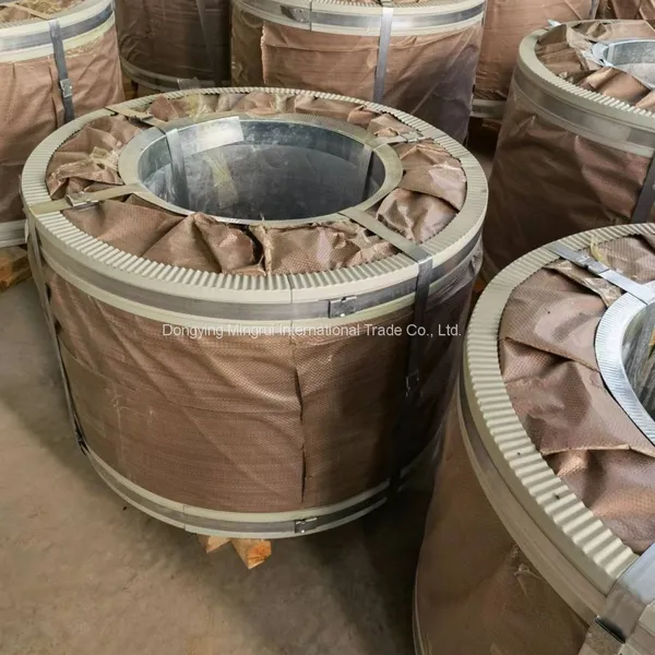 Hot Dip Galvanized Steel Strip photo-3