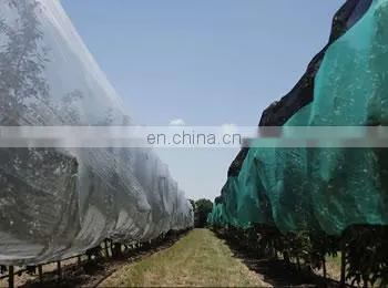 High Quality Plastic Bee Net Anti Mesh Net Against Hail For Tree Plant Fruits photo-3