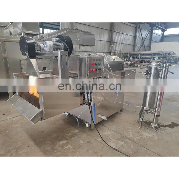 Small Scale Fruit Apple Pear Waxing Machine photo-2