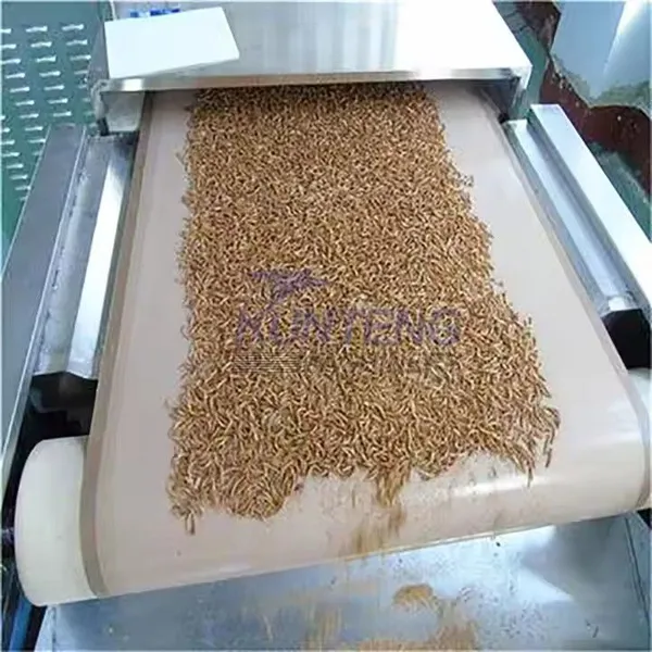 Industrial Microwave Protein Worm Drying Machine Insect Puffing Dryer Fish Bird Pet Feed Sterilization Drying Equipment EPC photo-5