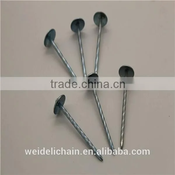 Competitive Price BWG10X2.5" Roofing Nails photo-5