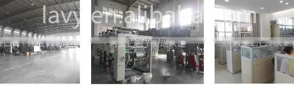 LAVY 3d Vacuum Heat Transfer Film for Garden Shoe photo-6