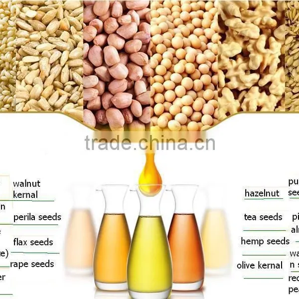 2016 Newest Groundnut Oil Press Machine photo-4