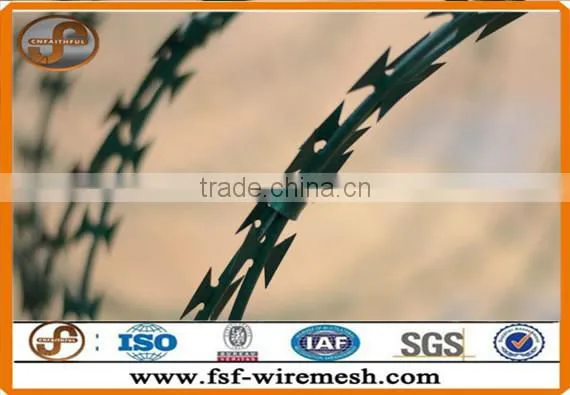 Security Fencing Razor Barbed Wire/razor Combat Wire/safety Razor Wire(ISO9001:2008 photo-6