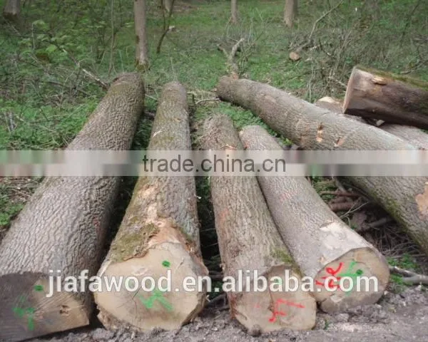 White Birch Logs