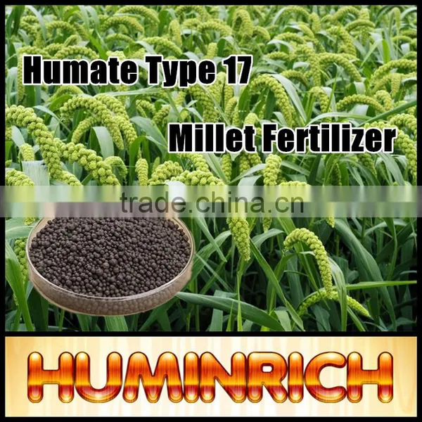 FAQ 23--How To Use Huminrich NPK Fertilizer For Millet? photo-2