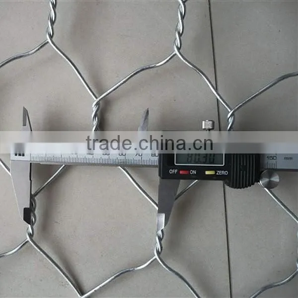Hot Dipped Galvanzied Hexagonal Wire Mesh photo-3