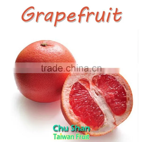 Fresh Grapefruit Exporter From Taiwan